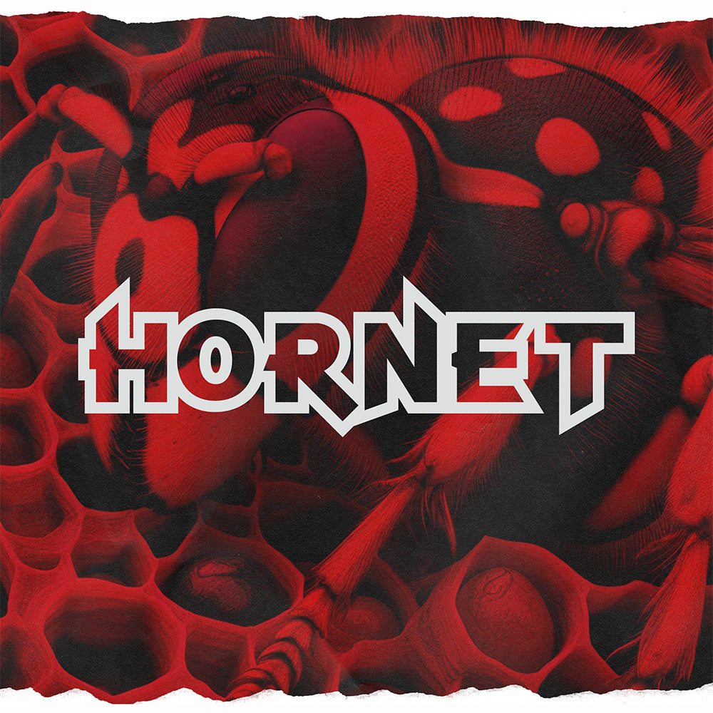 Discraft Hornet