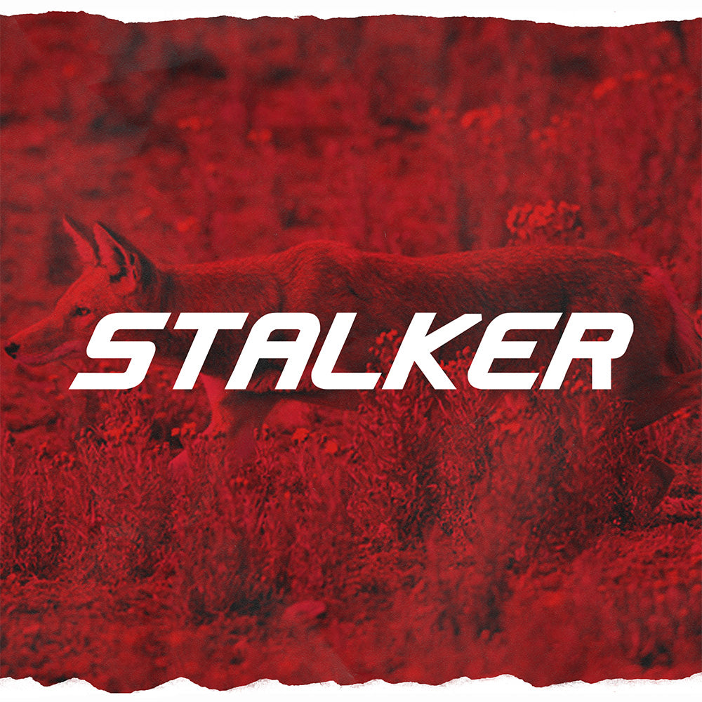 Discraft Stalker