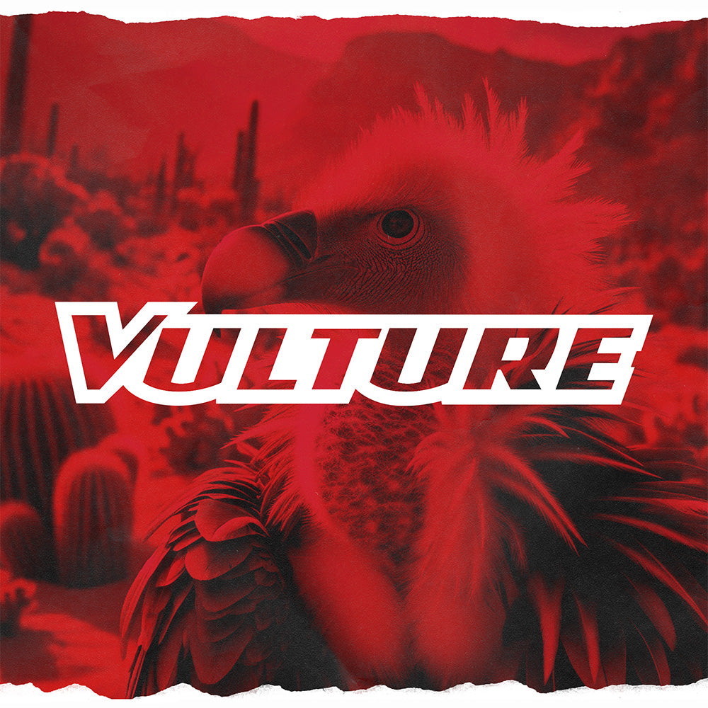 Discraft Vulture