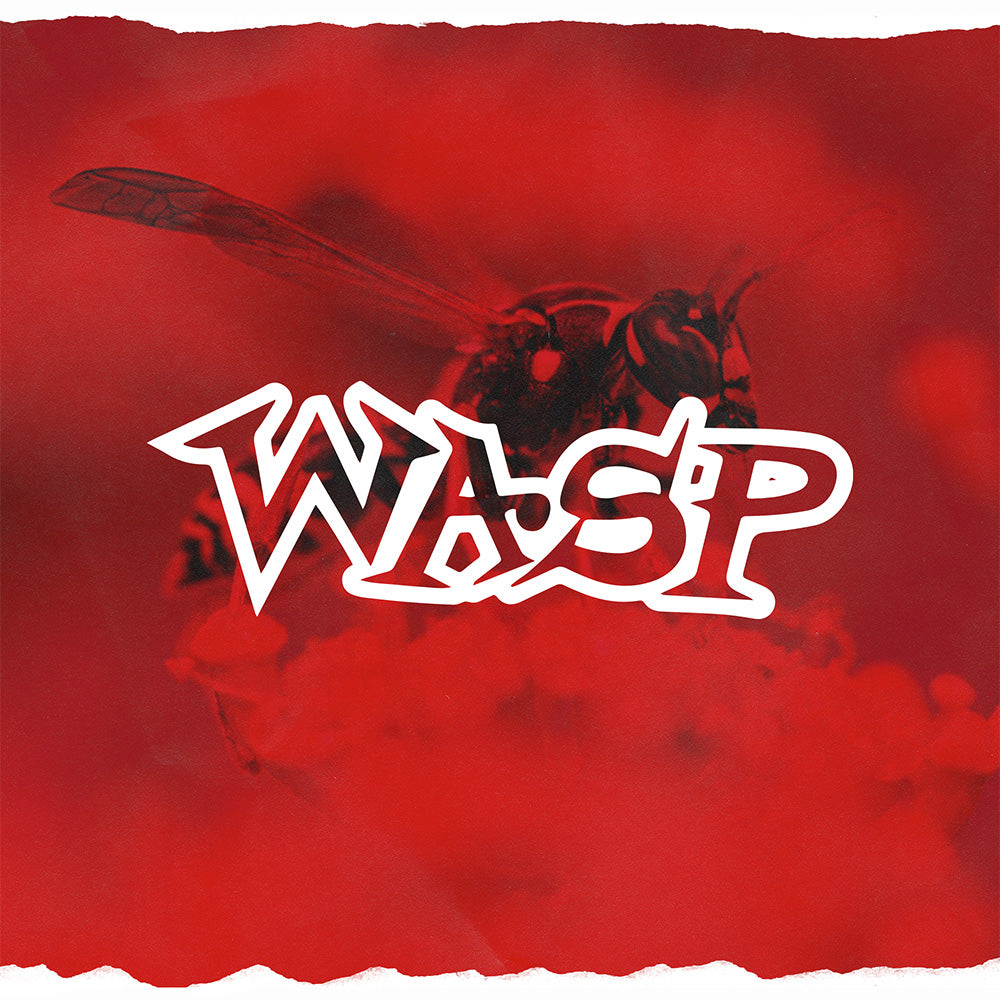 Discraft Wasp