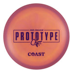Climo Disc Golf Prototype Coast