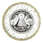 #7 Pyramid Scheme Money Buzzzz (Black) 177+ LE Money Buzzz