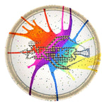 Fly Dye Confetti Z Archer