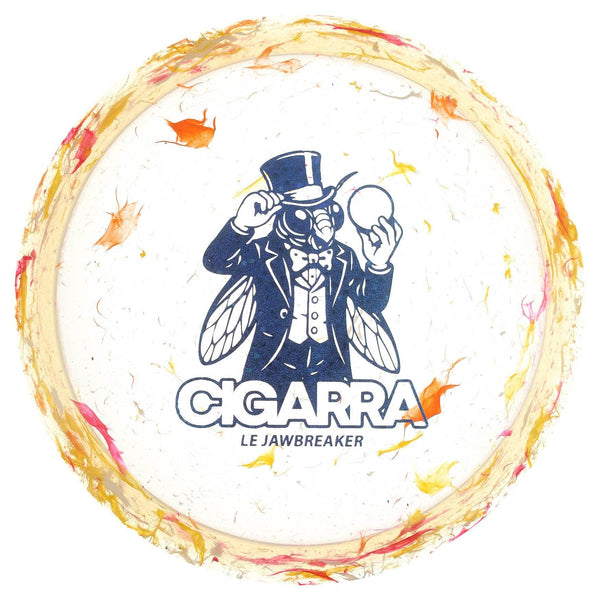#15 (Blue Sparkle Stars) 170-172 LE JB Z FLX Cigarra