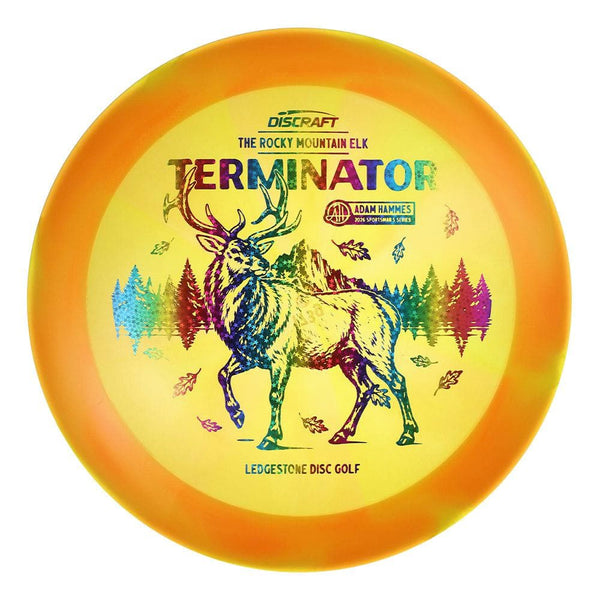 #112 EXACT DISC (Rainbow Sparkle Stars) 173-174 Adam Hammes Z Swirl Terminator