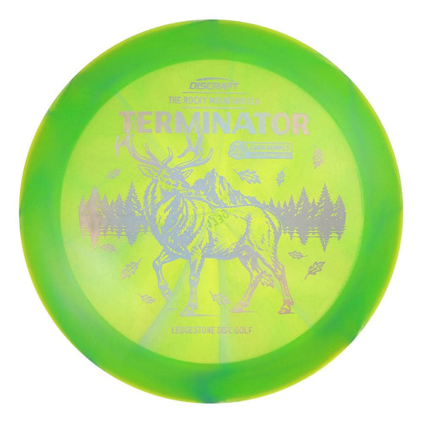 #123 EXACT DISC (Silver Holo) 173-174 Adam Hammes Z Swirl Terminator