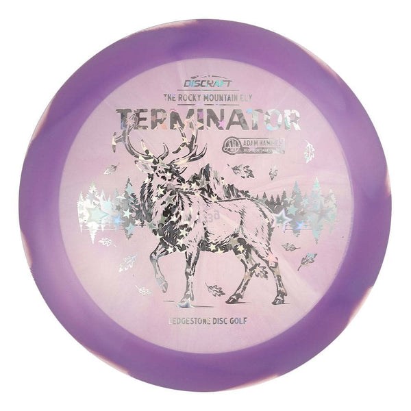 #128 EXACT DISC (Silver Holo Stars) 173-174 Adam Hammes Z Swirl Terminator