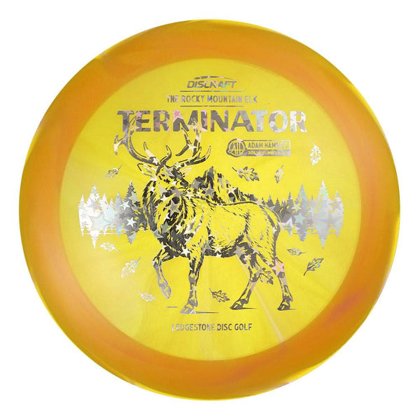 #130 EXACT DISC (Silver Holo Stars) 173-174 Adam Hammes Z Swirl Terminator