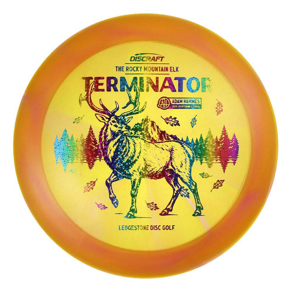 #180 EXACT DISC (Rainbow Sparkle Stars) 175-176 Adam Hammes Z Swirl Terminator