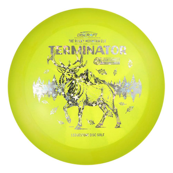 #201 EXACT DISC (Silver Holo Stars) 175-176 Adam Hammes Z Swirl Terminator