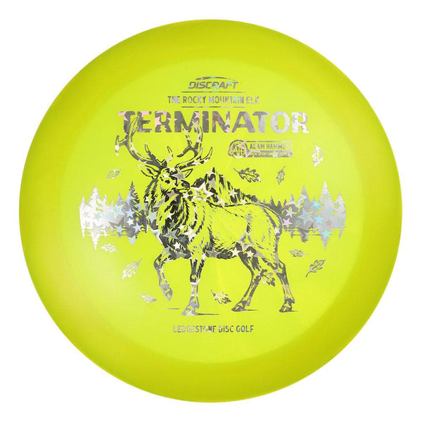 #204 EXACT DISC (Silver Holo Stars) 175-176 Adam Hammes Z Swirl Terminator