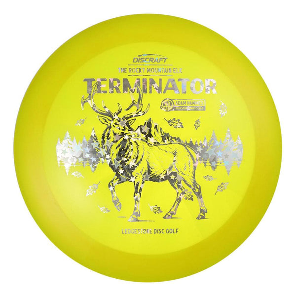 #206 EXACT DISC (Silver Holo Stars) 175-176 Adam Hammes Z Swirl Terminator