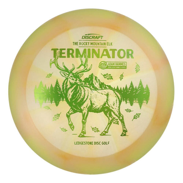 #21 EXACT DISC (Pickle Holo) 170-172 Adam Hammes Z Swirl Terminator