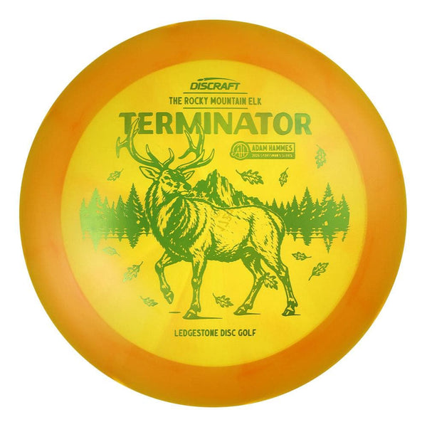 #24 EXACT DISC (Pickle Holo) 170-172 Adam Hammes Z Swirl Terminator