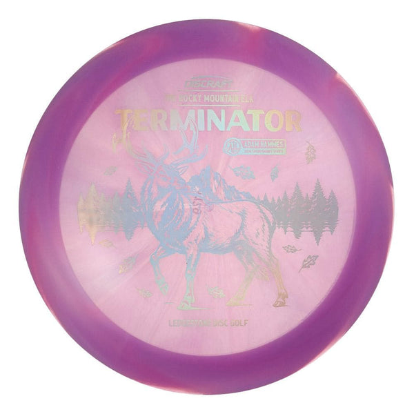 #31 EXACT DISC (Silver Holo) 170-172 Adam Hammes Z Swirl Terminator