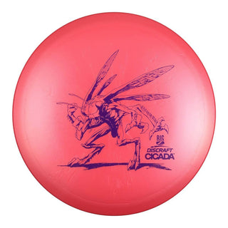 Pink (Purple Matte) 173-174 Big Z Cicada
