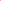 Pink (Clovers) 170-172 Big Z Cicada
