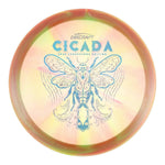 #65 (Blue Light Holo/Silver Stars Small) 175-176 Z Swirl Cicada