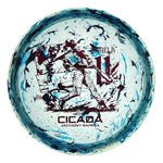 #159 (Magenta Metallic) 155-159 Anthony Barela Jawbreaker Z Lite Cicada