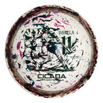 #71 (Green Metallic) 151-154 Anthony Barela Jawbreaker Z Lite Cicada